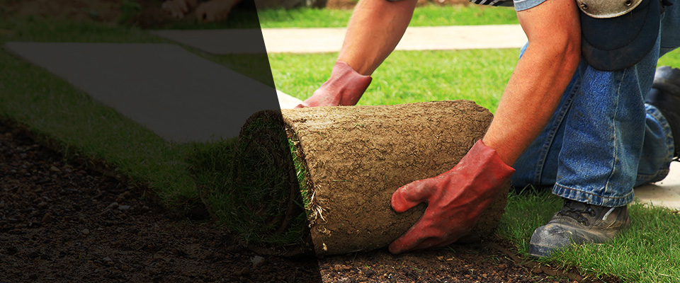 Sullivan Landscapers